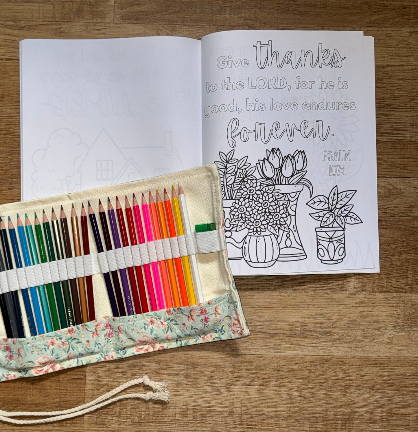 Coloring Book and Colored Pencil Bundle